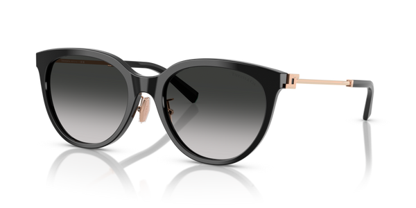Aletta Ricambio Originale Tiffany & Co. ZTF4243D42