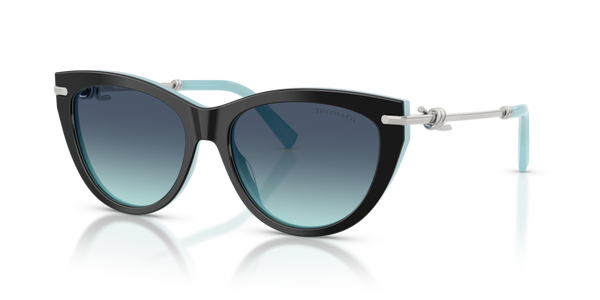 Guarnizione Asta ricambio originale Tiffany & Co. ZTF425371