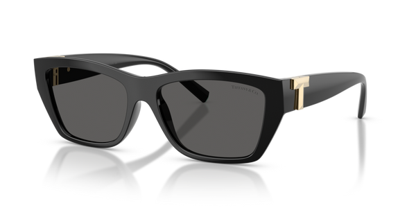 Guarnizione terminale ricambio originale Tiffany & Co. ZTF4255U70