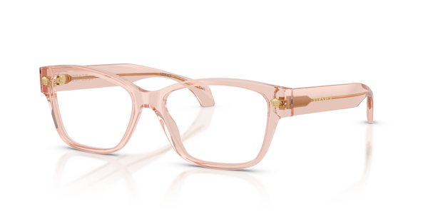 Guarnizione Frontale ricambio originale Versace ZVE339272