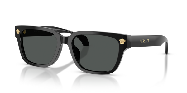 Guarnizione Frontale ricambio originale Versace ZVE4513D72