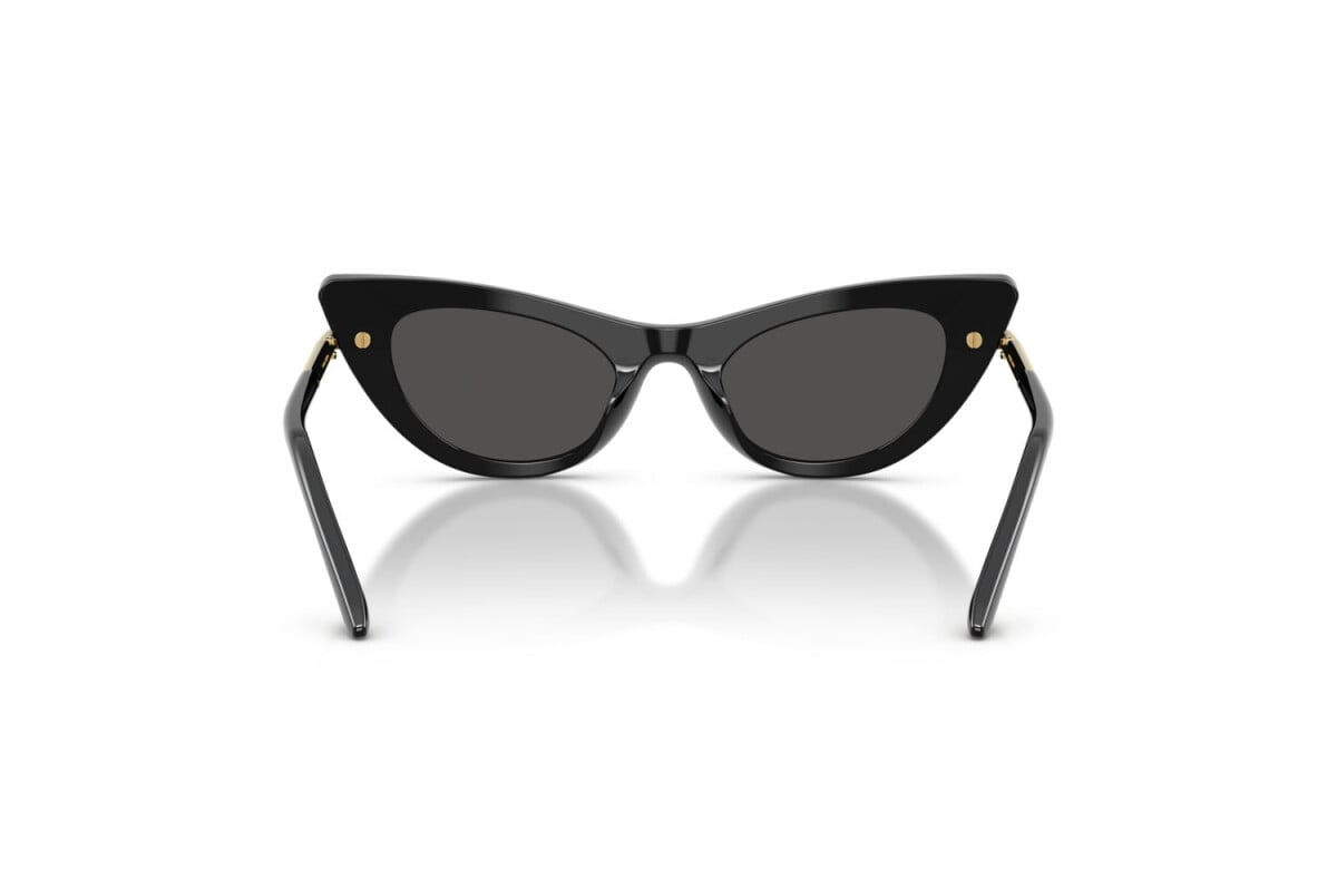 DOLCE & GABBANA - 316397 LEONE MARRONE SU NERO | OCCHIALE DA SOLE JUNIOR - DX 4008 CALIBRO 44