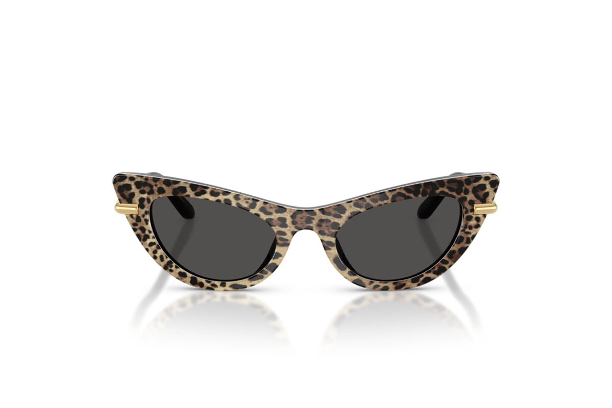 DOLCE & GABBANA - 316397 LEONE MARRONE SU NERO | OCCHIALE DA SOLE JUNIOR - DX 4008 CALIBRO 44