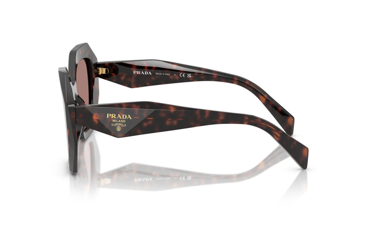 PRADA - 17N60B TARTARUGA DELLE RADICI | OCCHIALE DA SOLE DONNA - PR 16WS CALIBRO 53