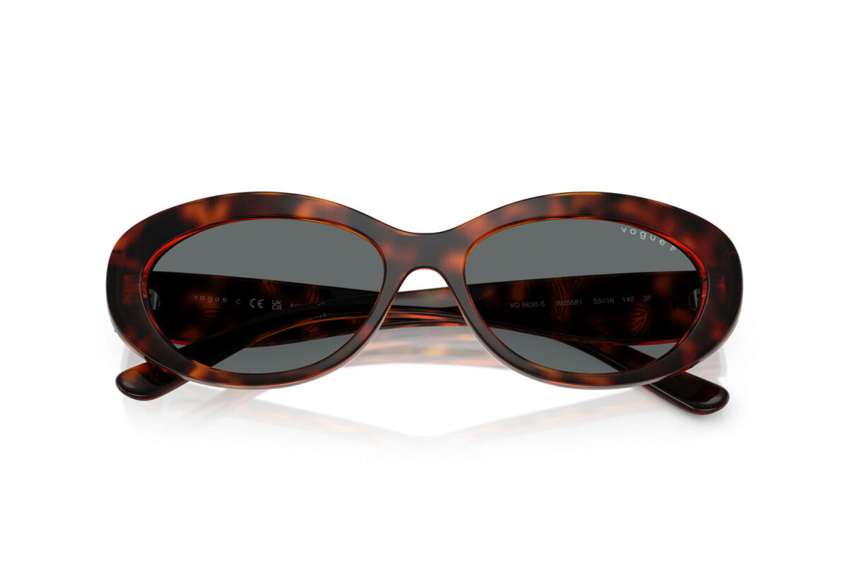 RAY-BAN RB 4429 - 672332 BLACK ON GOLD | UNISEX CALIBER 55 SUNGLASSES 