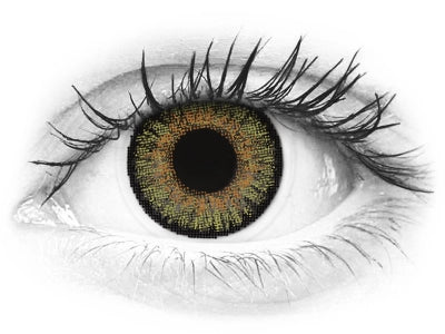 FreshLook One Day Color Hazel, Nocciola- correttive (10 lenti)
