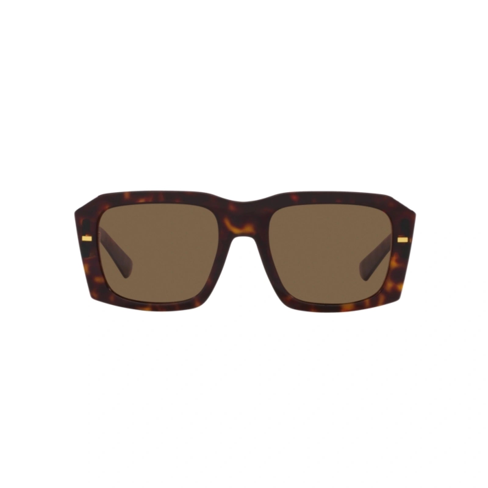 DOLCE & GABBANA DG 4430 - 502/73 AVANA | OCCHIALE DA SOLE UOMO