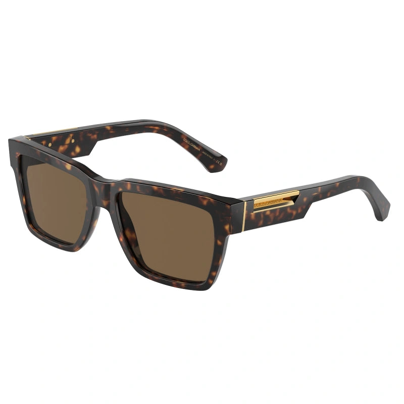 DOLCE & GABBANA - 502/73 L'AVANA | OCCHIALE DA SOLE UOMO - DG 4465 CALIBRO 55
