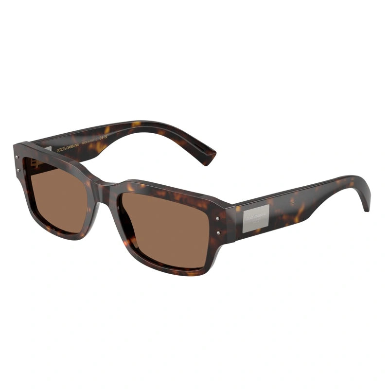 DOLCE & GABBANA - 502/73 L'AVANA | OCCHIALE DA SOLE UOMO - DG 4483 CALIBRO 54