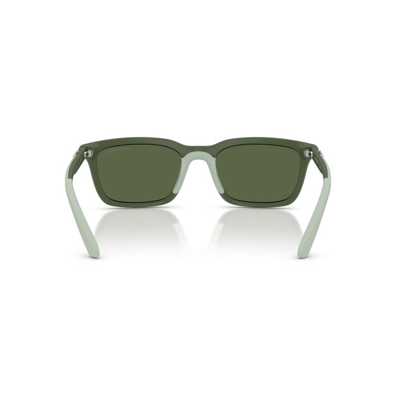 OCCHIALE DA SOLE UOMO | EMPORIO ARMANI EA 4249U - 625971 AGAVE OPACO - CALIBRO 55