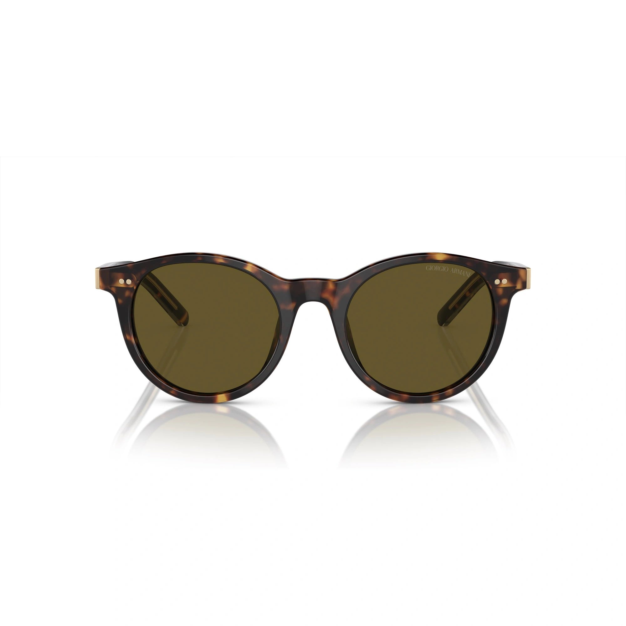 GIORGIO ARMANI AR 8199U - 587973 L'AVANA | OCCHIALE DA SOLE DONNA | CALIBRO 50