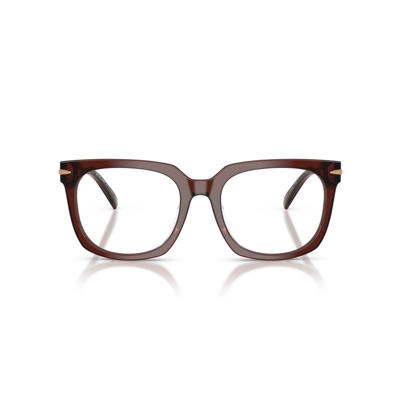 OCCHIALE DA VISTA UOMO | MICHAEL KORS MK 4176U - ONTARIO 3401 MARRONE TRASPARENTE - CALIBRO 54