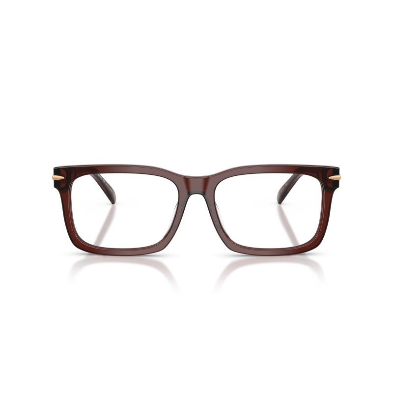 OCCHIALE DA VISTA UOMO | MICHAEL KORS MK 4177U - OTTAWA 3401 MARRONE TRASPARENTE - CALIBRO 55
