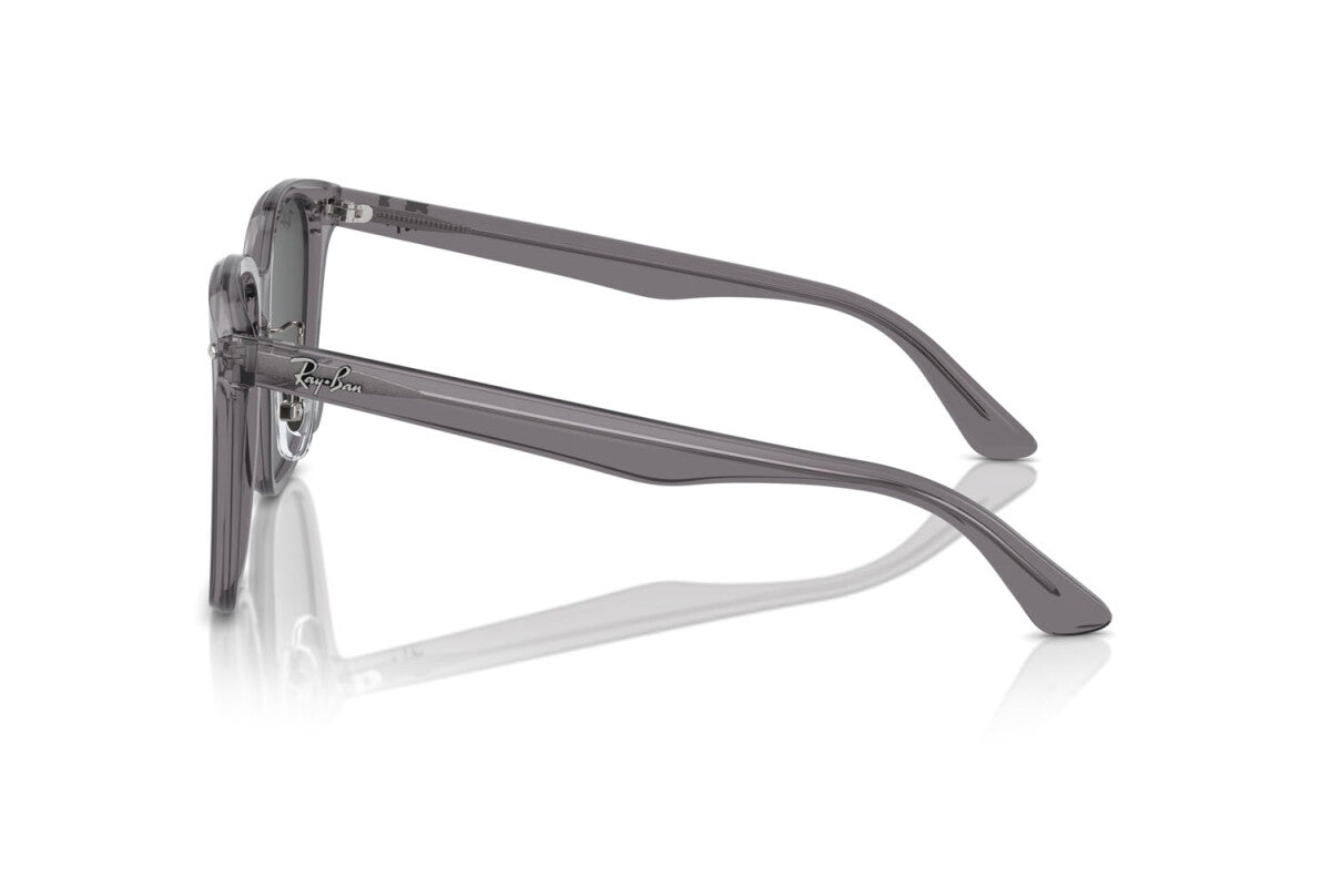 OCCHIALE DA SOLE UNISEX RAY-BAN RB 2206D (139987)