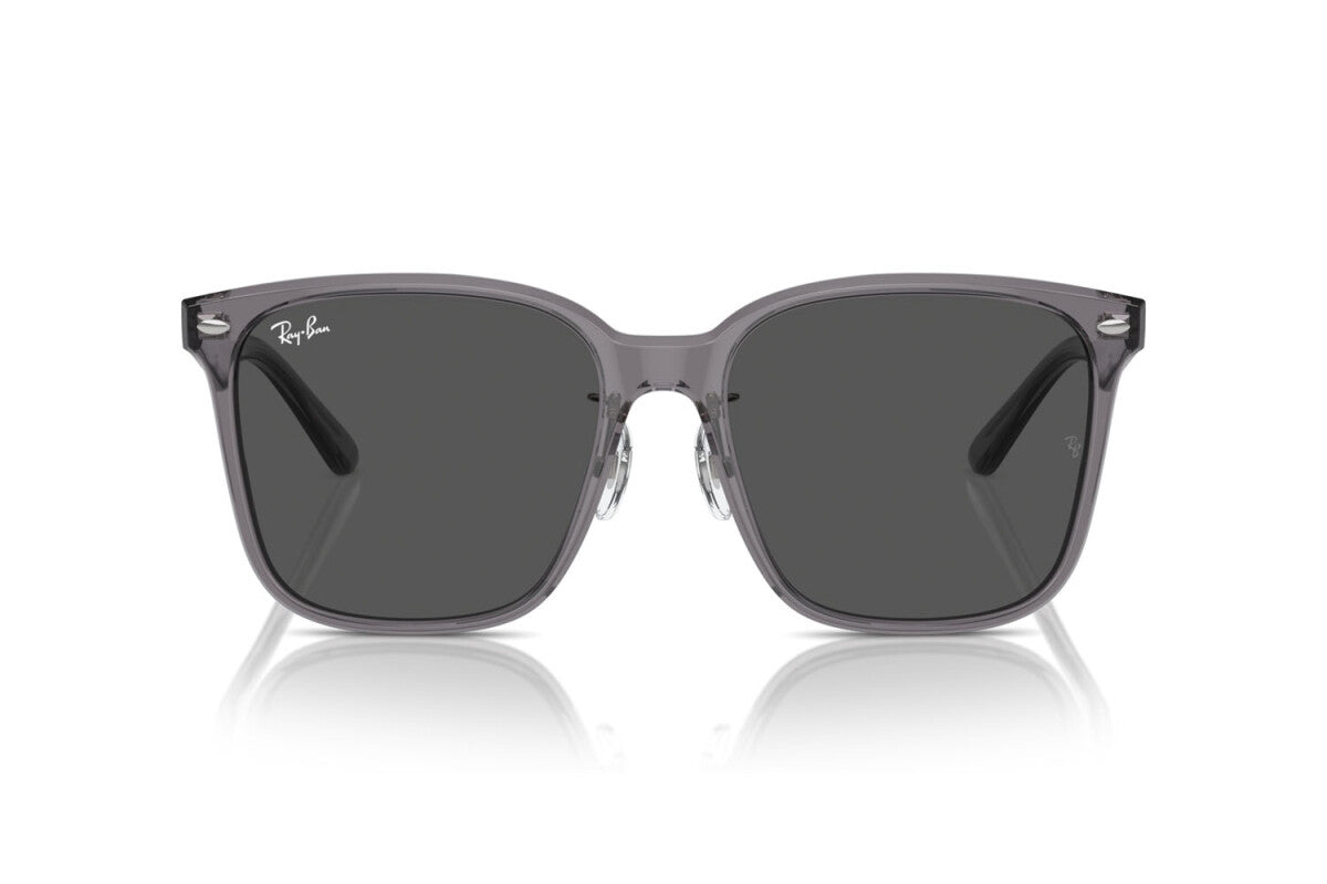 OCCHIALE DA SOLE UNISEX RAY-BAN RB 2206D (139987)