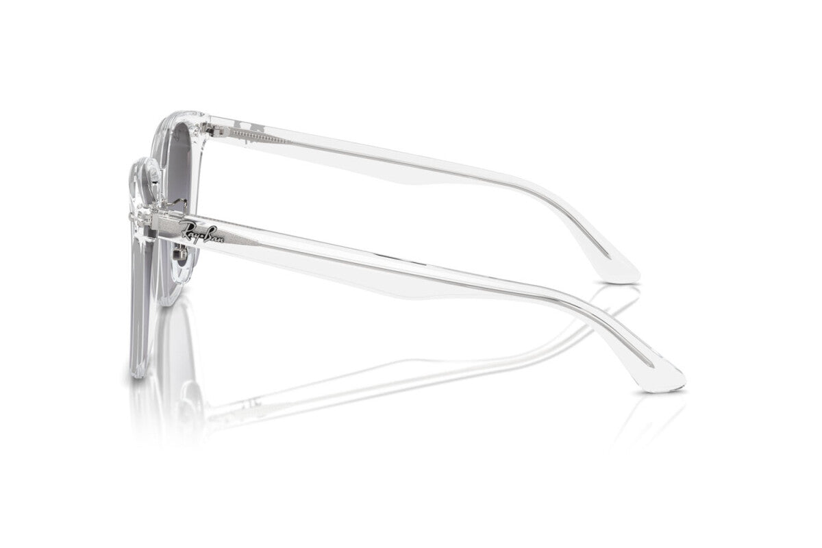 OCCHIALE DA SOLE UNISEX RAY-BAN RB 2206D (64478G)