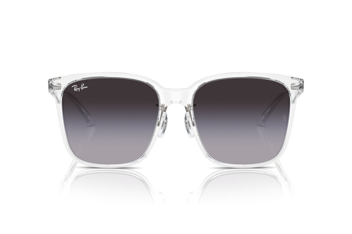OCCHIALE DA SOLE UNISEX RAY-BAN RB 2206D (64478G)