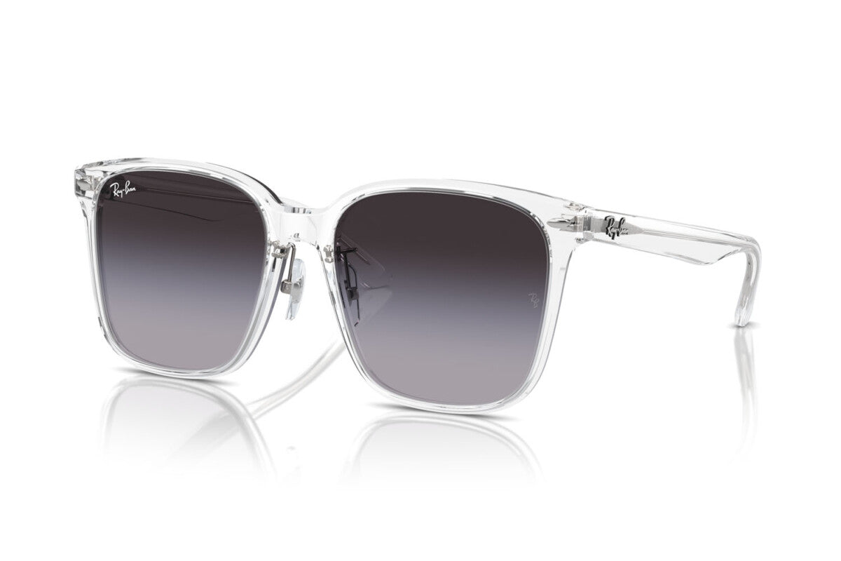 OCCHIALE DA SOLE UNISEX RAY-BAN RB 2206D (64478G)