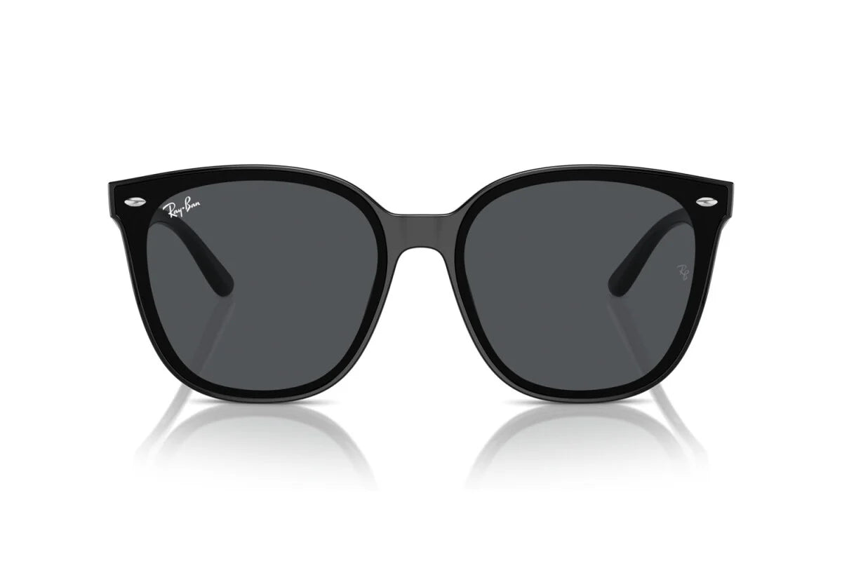 OCCHIALE DA SOLE UNISEX RAY-BAN RB 4423D (601/87)