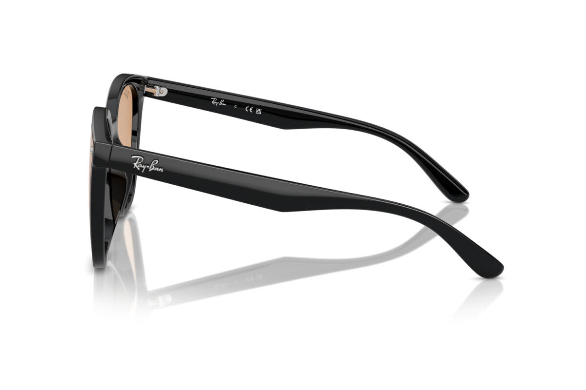 OCCHIALE DA SOLE UNISEX RAY-BAN RB 4423D (601/93)