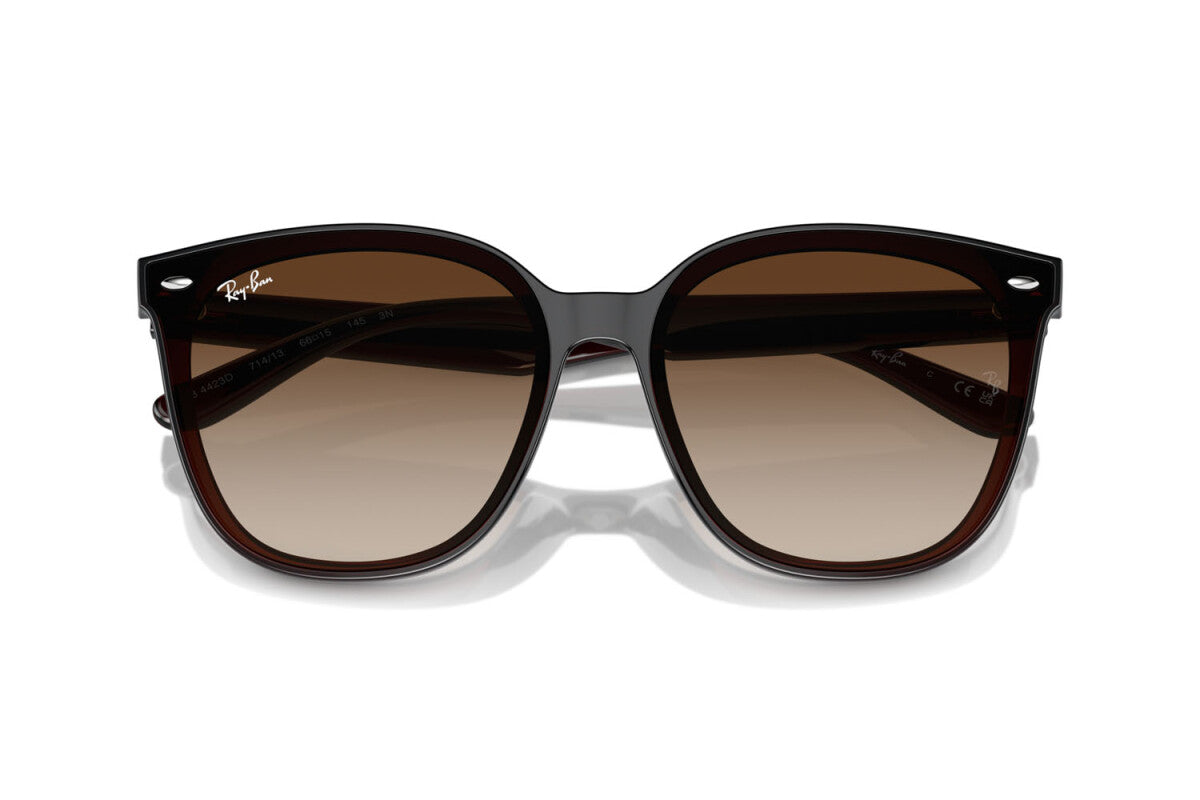 OCCHIALE DA SOLE UNISEX RAY-BAN RB 4423D (714/13)