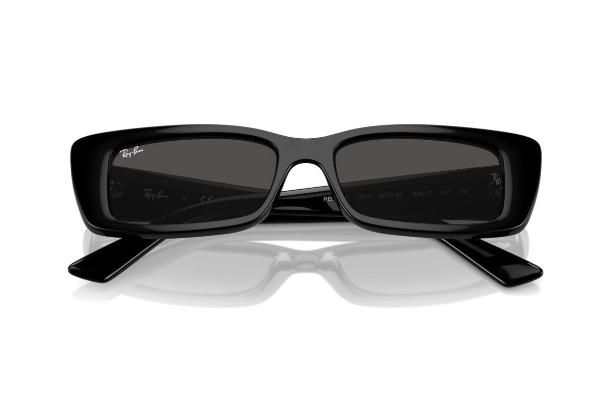 OCCHIALE DA SOLE UNISEX RAY-BAN TERU RB 4425 (667787)