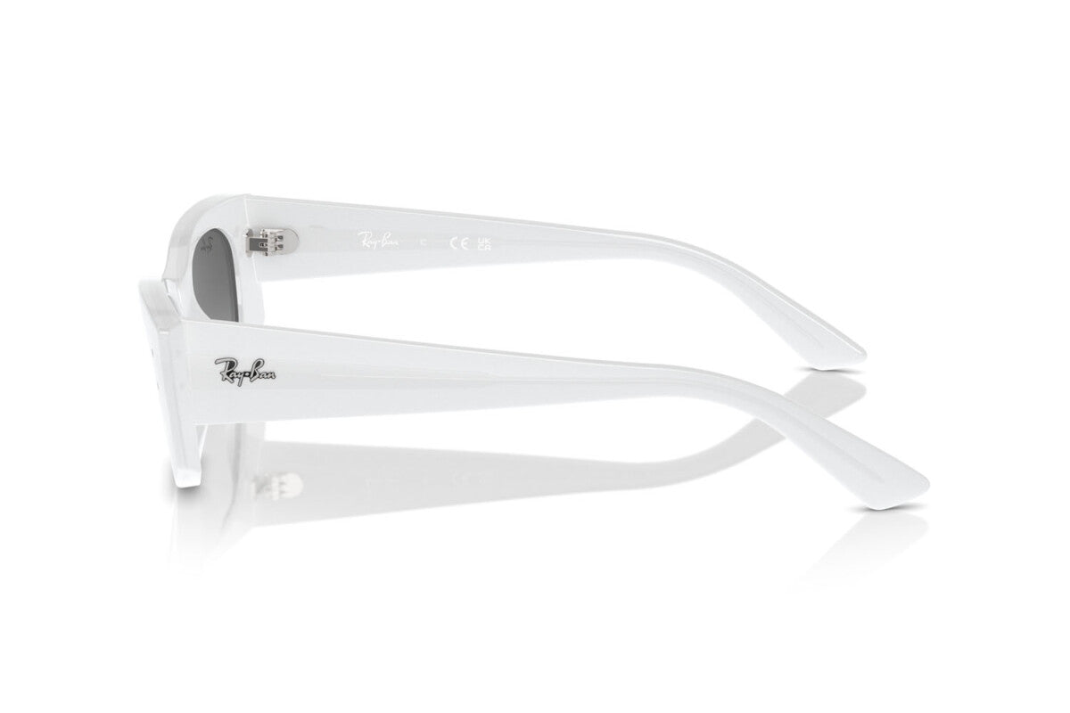 OCCHIALE DA SOLE UNISEX RAY-BAN KAT RB 4427 (675911)