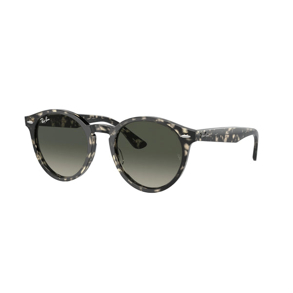 RAY-BAN RB 7680S LARRY 133371 HAVANA GRAY | UNISEX CALIBER 49 SUNGLASSES 