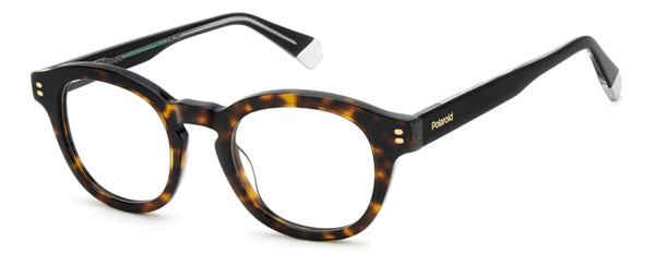 Occhiali da vista Polaroid uomo PLD D559 Avana | Eleganza e Comfort