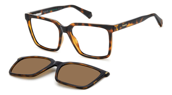 Occhiali da Vista Polaroid PLD D556/C Avana - Stile Unisex
