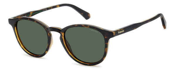 Polaroid PLD 4191/S Uomo Avana: Occhiali da Sole Originali