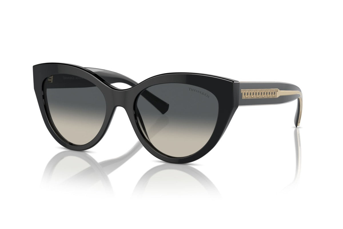 OCCHIALE DA SOLE DONNA | TIFFANY TF 4220 - 800171 NERO - CALIBRO 54