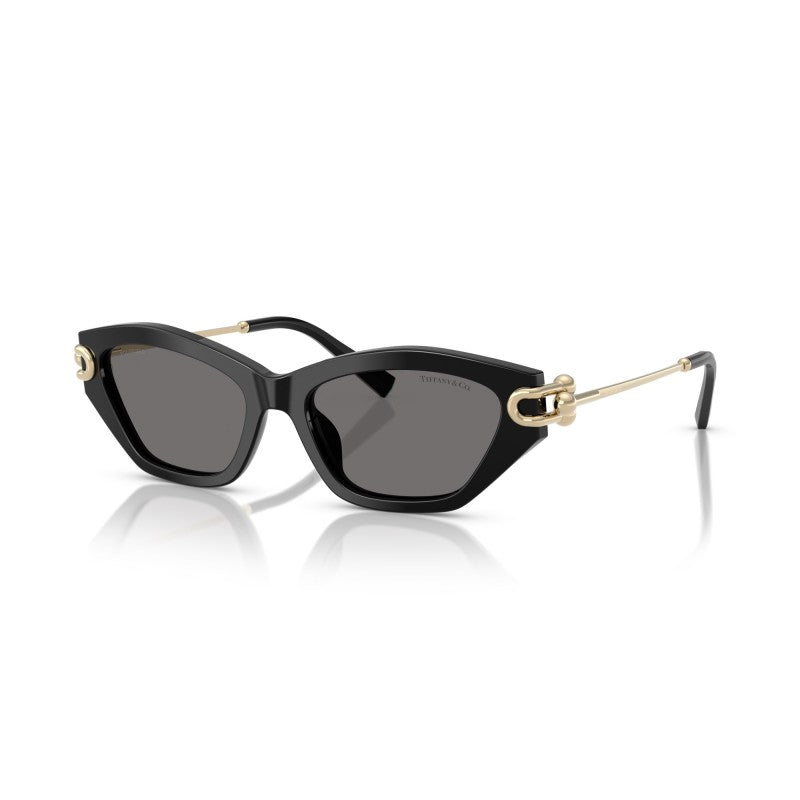 OCCHIALE DA SOLE DONNA | TIFFANY TF 4231U - 800181 NERO - CALIBRO 53