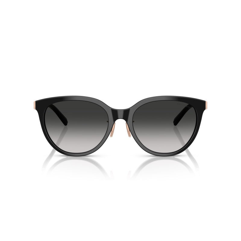 OCCHIALE DA SOLE DONNA | TIFFANY TF 4243D - 80013C NERO - CALIBRO 55