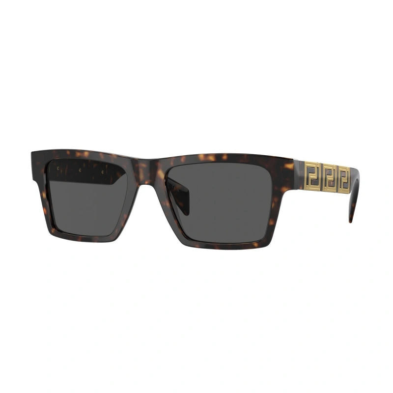 VERSACE VE 4445 - 108/87 HAVANA | MEN'S SUNGLASSES 