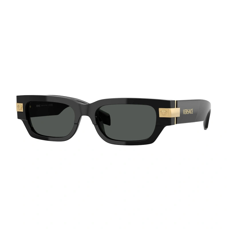 VERSACE - GB1/87 NERO | OCCHIALE DA SOLE UOMO - VE 4465 CALIBRO 53