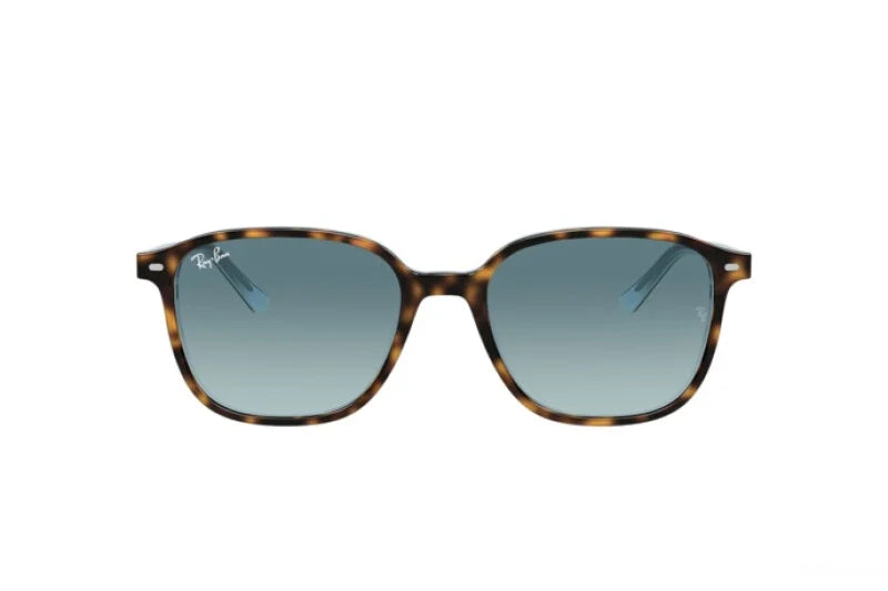 RAY-BAN LEONARD SUNGLASSES RB 2193 (13163M) 53 gauge