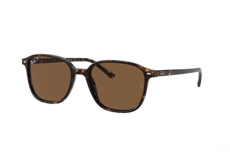 SUNGLASSES RAY-BAN LEONARD RB 2193 (902/57) caliber 51 polarized