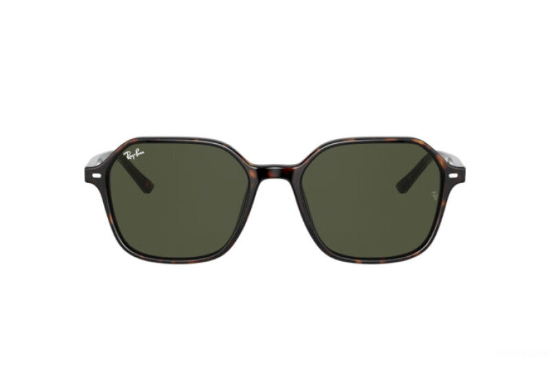 RAY-BAN JOHN SUNGLASSES RB 2194 (902/31) size 53