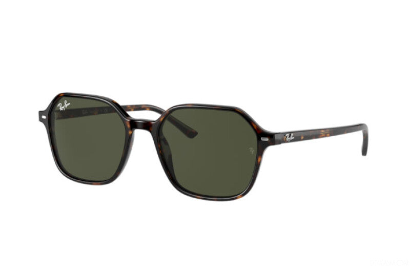 RAY-BAN JOHN SUNGLASSES RB 2194 (902/31) size 53